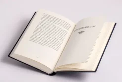 Anaconda Verlag Klassiker|Klassische Horrorgeschichten-Der Sandmann. Schauererzählungen. In Cabra-Leder gebunden. Mit Silberprägung