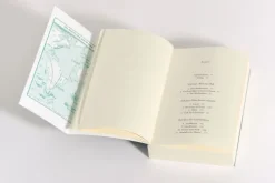 Penguin TB Verlag Geschichte|Geschichte-Der Untergang der