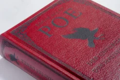 Anaconda Verlag Klassische Horrorgeschichten|Horror-Der Untergang des Hauses Usher. 19 unheimliche Erzählungen