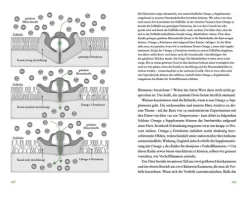 Bertelsmann Verlag Sachbücher*Der Vitamin- und Nährstoffkompass