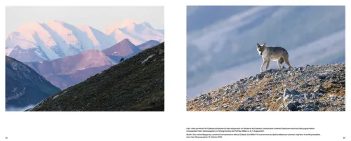 Haupt Verlag AG Biologie-Der Wolf