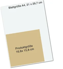 Der Wunschfisch*Pattloch Geschenkbuch Discount