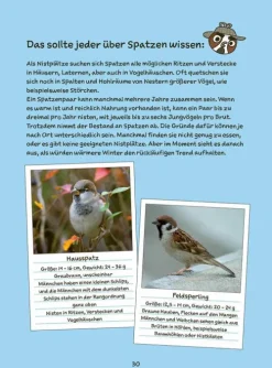 Edition Helden Comics-Detektiv Spatz und die gebrochene Feder