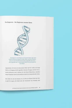 Die 3 Säulen der Gesundheit*Kniga Verlag