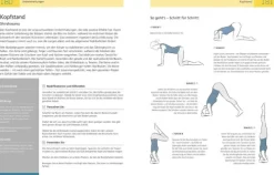 Librero b.v. Self Care-Die Anatomie des Yoga