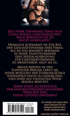 Die Ausbildung zur Büro-Sklavin | Erotischer SM-Roman*Blue Panther Books Best