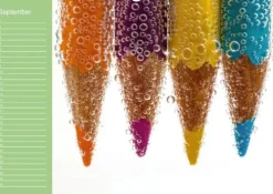 Die bunte Welt der Stifte - Geburtstagskalender (Wandkalender immerwährend DIN A3 quer)*Calvendo Outlet