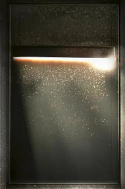 Die Einladung*Knaur Taschenbuch Sale