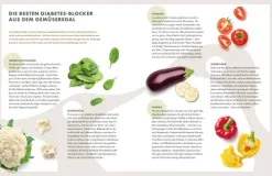 ZS Verlag Gesundheit-Die Ernährungs-Docs - Diabetes heilen - Unsere 100 besten Rezepte