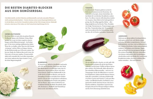 ZS Verlag Gesundheit-Die Ernährungs-Docs - Diabetes heilen - Unsere 100 besten Rezepte