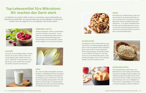 ZS Verlag Gesundheit*Die Ernährungs-Docs - Gesund abnehmen mit der Darm-fit-Formel