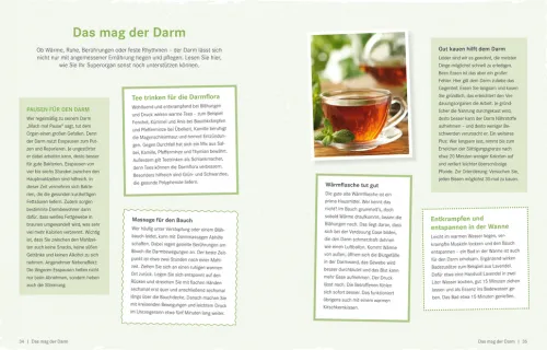 ZS Verlag Gesundheit*Die Ernährungs-Docs - Gesund abnehmen mit der Darm-fit-Formel