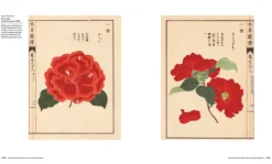 Die Geschichte der Botanik in 300 Büchern*Haupt Verlag AG Outlet