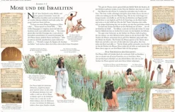 Kinder Dorling Kindersley Verlag 10-12 Jahre-Die große illustrierte Kinderbibel