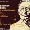 Die großen Romane*Hoerverlag DHV Der Best