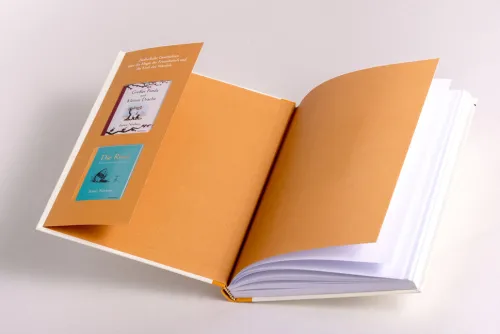 Goldmann Verlag Märchen & Sagen*Die Katze, die nach Weisheit sucht