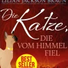 Die Katze, die vom Himmel fiel - Band 28*dotbooks Hot