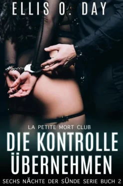 Rotten Rooster Entertainment Erotische Romane-Die Kontrolle übernehmen (Sechs Nächte der Sünde Serie, #2)