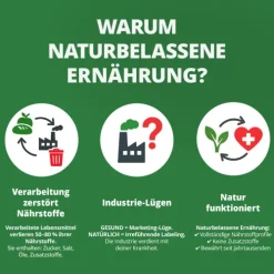 Die Krankheitslügen - Was man macht, um nicht krank zu werden.*Dt. Gesundheitsbuchverlag Clearance