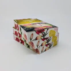 Ullstein Taschenbuchvlg. Historische Romane|Familiensagas-Die Nelkentochter