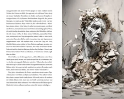 Insel Verlag GmbH Märchen & Sagen-Die Odyssee. Illustrierte Sonderausgabe