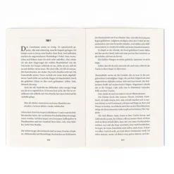 Rowohlt Taschenbuch Romane & Erzählungen|Literatur-Die schönste Version