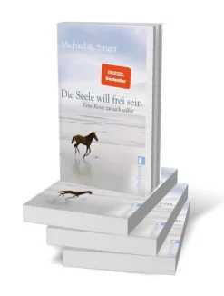 Die Seele will frei sein*Ullstein Taschenbuchvlg. Clearance