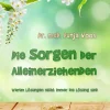 Die Sorgen der Alleinerziehenden*medizin-im-text Clearance