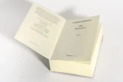 Die Sturmrose*Penguin TB Verlag Online