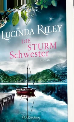 Goldmann TB Familiensagas*Die Sturmschwester