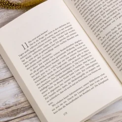 Oetinger Kinder- & Jugendbücher|Romane & Erzählungen*Die Tribute von Panem 3. Flammender Zorn