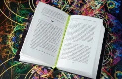 Die Tyrannei des Schmetterlings*Kiepenheuer & Witsch GmbH New