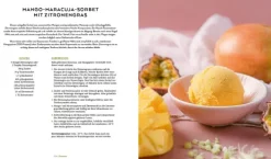 Die vegane Eis-Bibel*Christian Verlag GmbH Sale