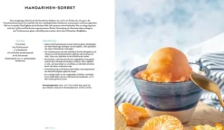 Die vegane Eis-Bibel*Christian Verlag GmbH Sale