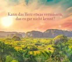 Knaur Taschenbuch Historische Romane|Familiensagas-Die vermisste Tochter