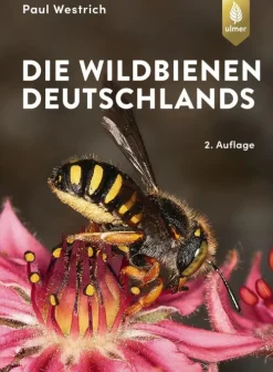 Ulmer Eugen Verlag Biologie*Die Wildbienen Deutschlands