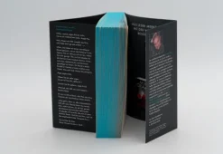 Die Witwe*Droemer Taschenbuch