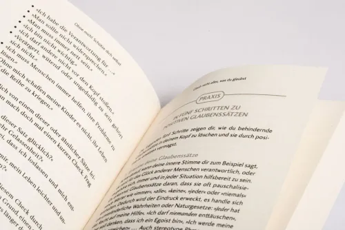 Goldmann TB Ratgeber*Dieses Problem lasse ich bei dir