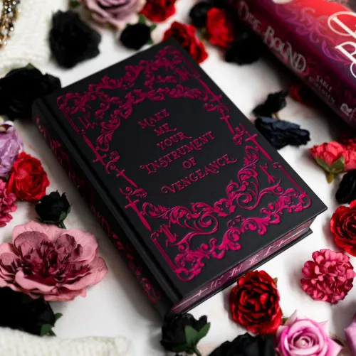 Hachette Book Group USA Fremdsprachige Bücher|Romance*Dire Bound (Deluxe Limited Edition)