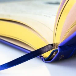 Disney: Das große goldene Buch der Disney-Geschichten*Carlsen Verlag GmbH Discount