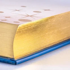 Disney: Das große goldene Buch der Gute-Nacht-Geschichten*Carlsen Clearance