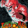 Carlsen Verlag GmbH Action & Abenteuer-Dragon Ball Massiv 13