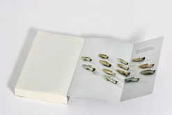 Penguin TB Verlag Geschichte|Geschichte-Düstere Geheimnisse