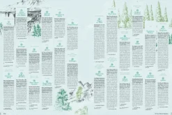 Dumont Reise Vlg GmbH + C Bildbände*DuMont Bildband Atlas der Reiselust Frankreich