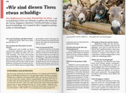 Dumont Reise Vlg GmbH + C Reiseführer*DUMONT Reise-Taschenbuch Reiseführer Montenegro