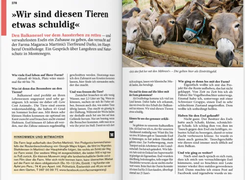 Dumont Reise Vlg GmbH + C Reiseführer*DUMONT Reise-Taschenbuch Reiseführer Montenegro