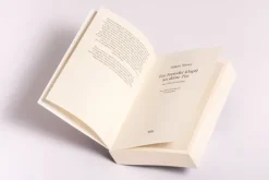 btb Taschenbuch Krimi Klassiker-Ein Fremder klopft an deine Tür