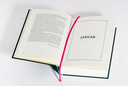 Heyne Verlag Naturwissenschaften & Technik*Ein Jahr des Staunens