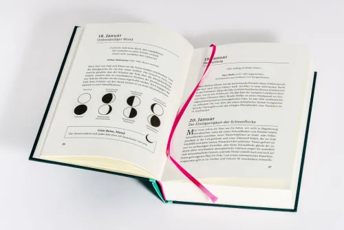 Heyne Verlag Naturwissenschaften & Technik*Ein Jahr des Staunens