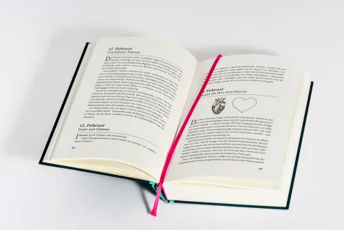 Heyne Verlag Naturwissenschaften & Technik*Ein Jahr des Staunens